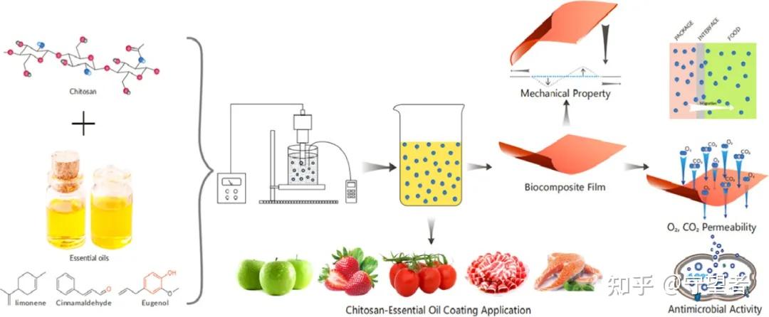 carbohydratepolymers用于食品保鲜的新壳聚糖精油膜