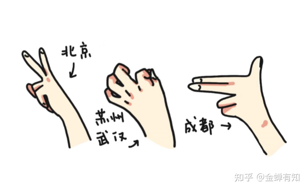 让手指说话:手语识别的崭新时代 - 知乎