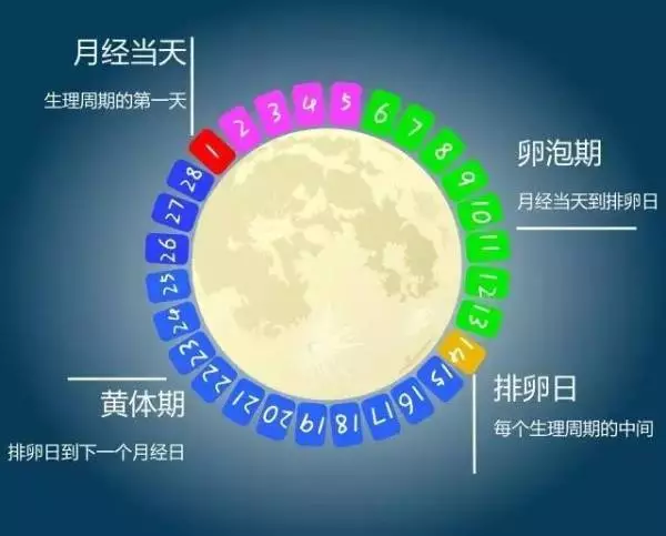 女性生理期到底要不要运动 什么运动更适合 知乎 女性生理期到底要不要运动 什么运动更适合 知乎