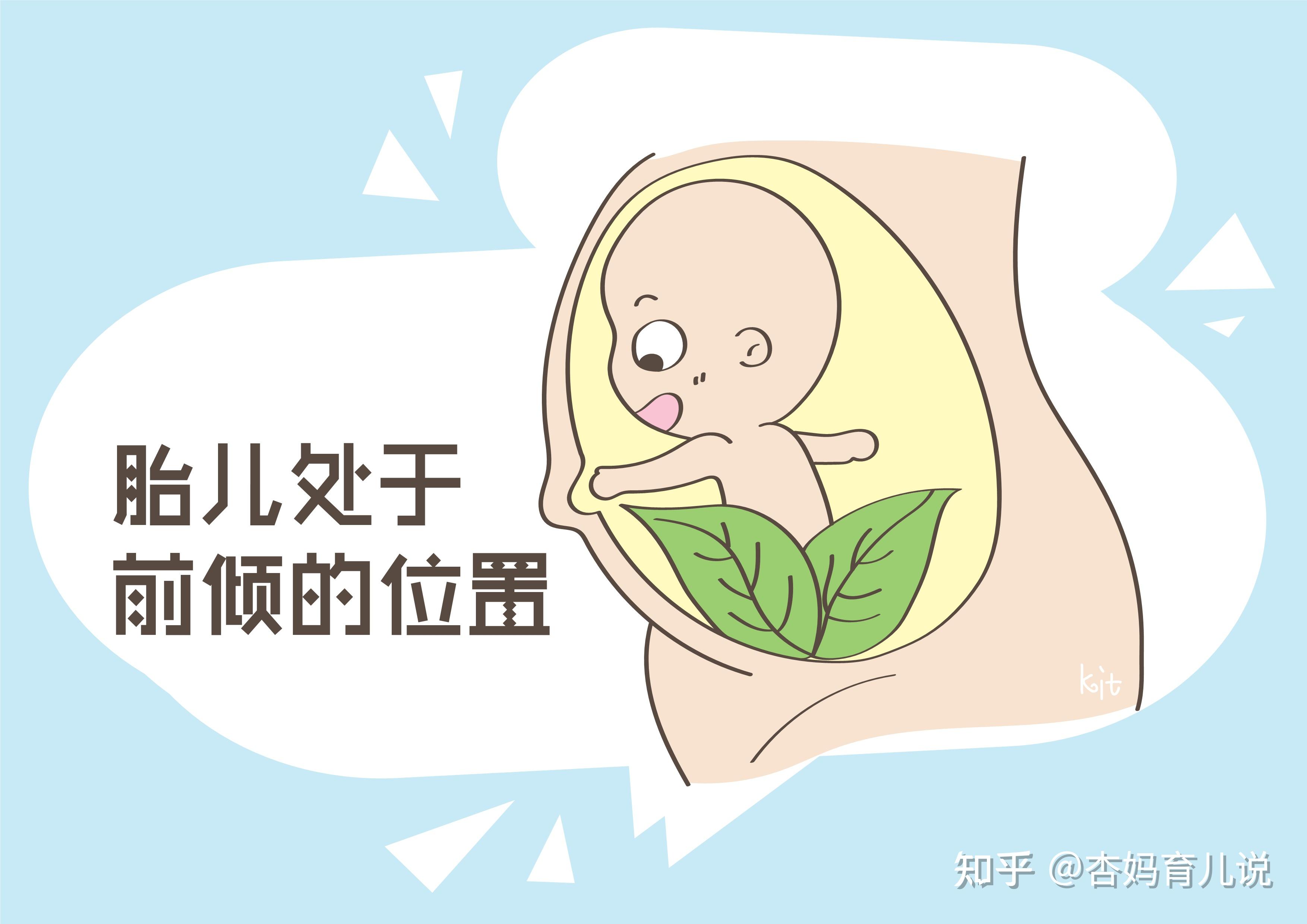 挽救脐膨出胎儿·多方上演“生命接力赛” - 健康见闻 - 新湖南