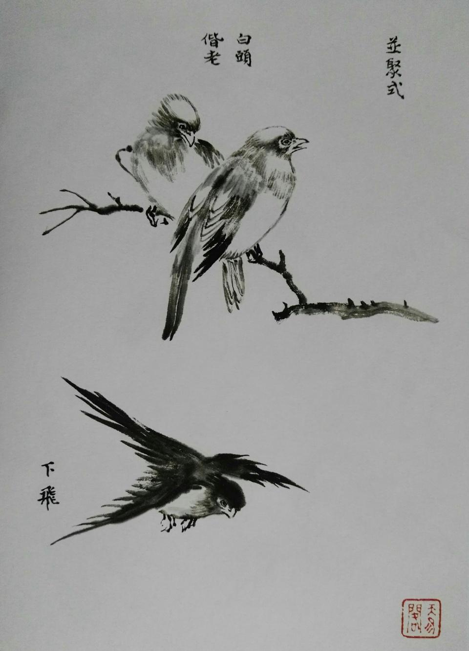 画鸟技法12个步骤分解和21种姿势,让你轻松入门 - 知乎