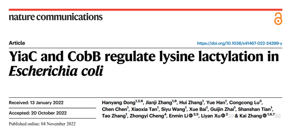 Nat Comm 张锴 许丽艳团队首次报道原核生物中乳酸化修饰调控因子 知乎
