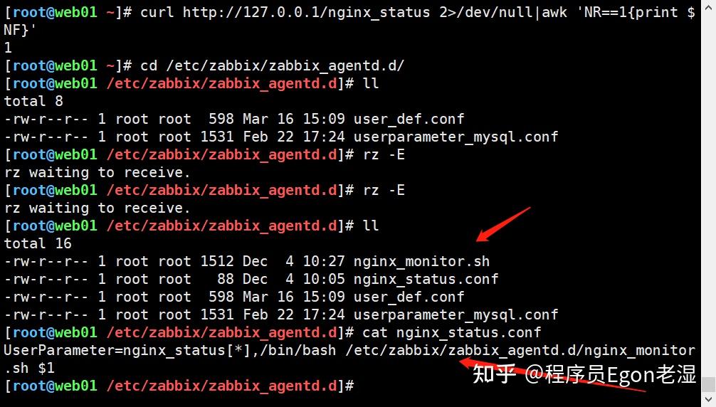 zabbix nginx zabbix nginx