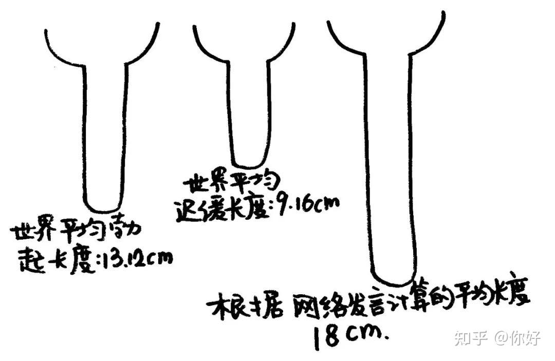 丁丁能否二次發育關於丁丁的冷知識你要知道多少