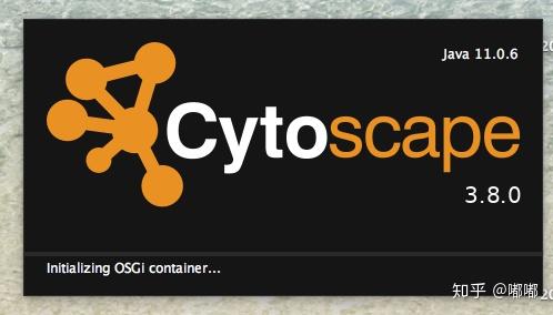 以cytoscape380mac版为例安装过程