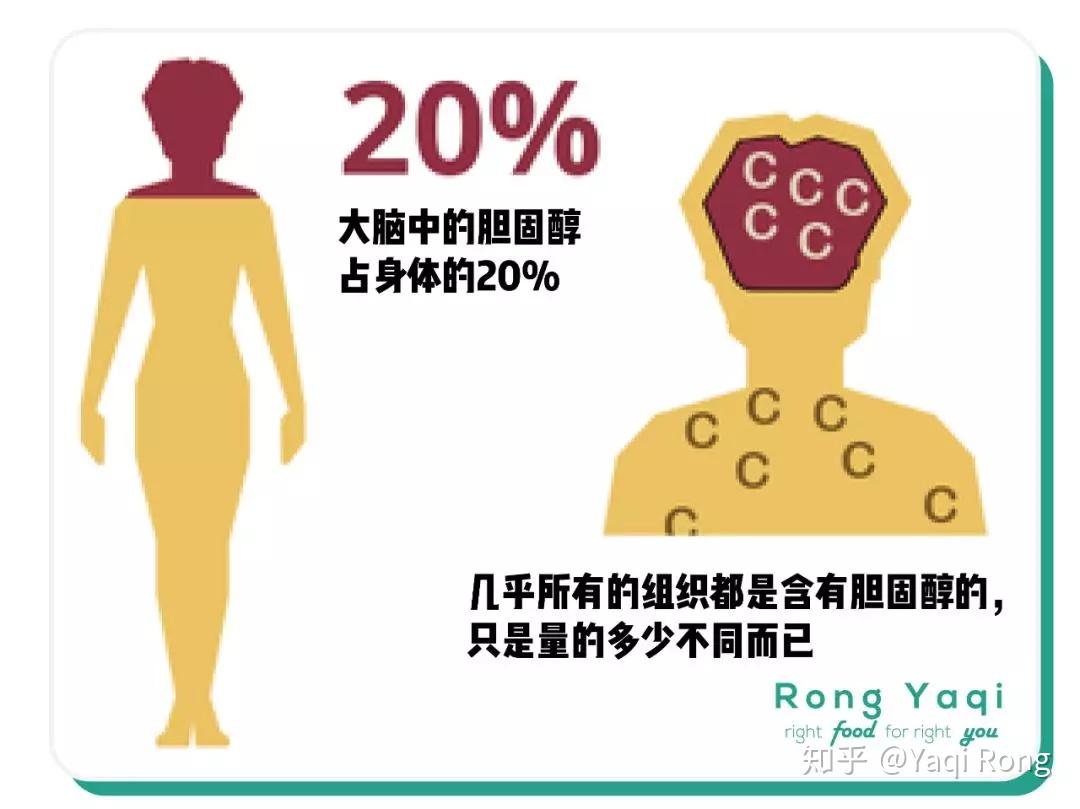 胆固醇臭名昭著了很多年,人们一提起它就觉得是个危害健康的坏东西,要