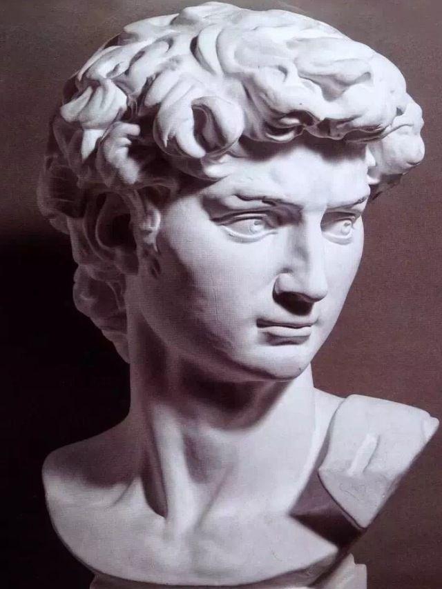 素描入门  石膏大卫头像的画法步骤分析