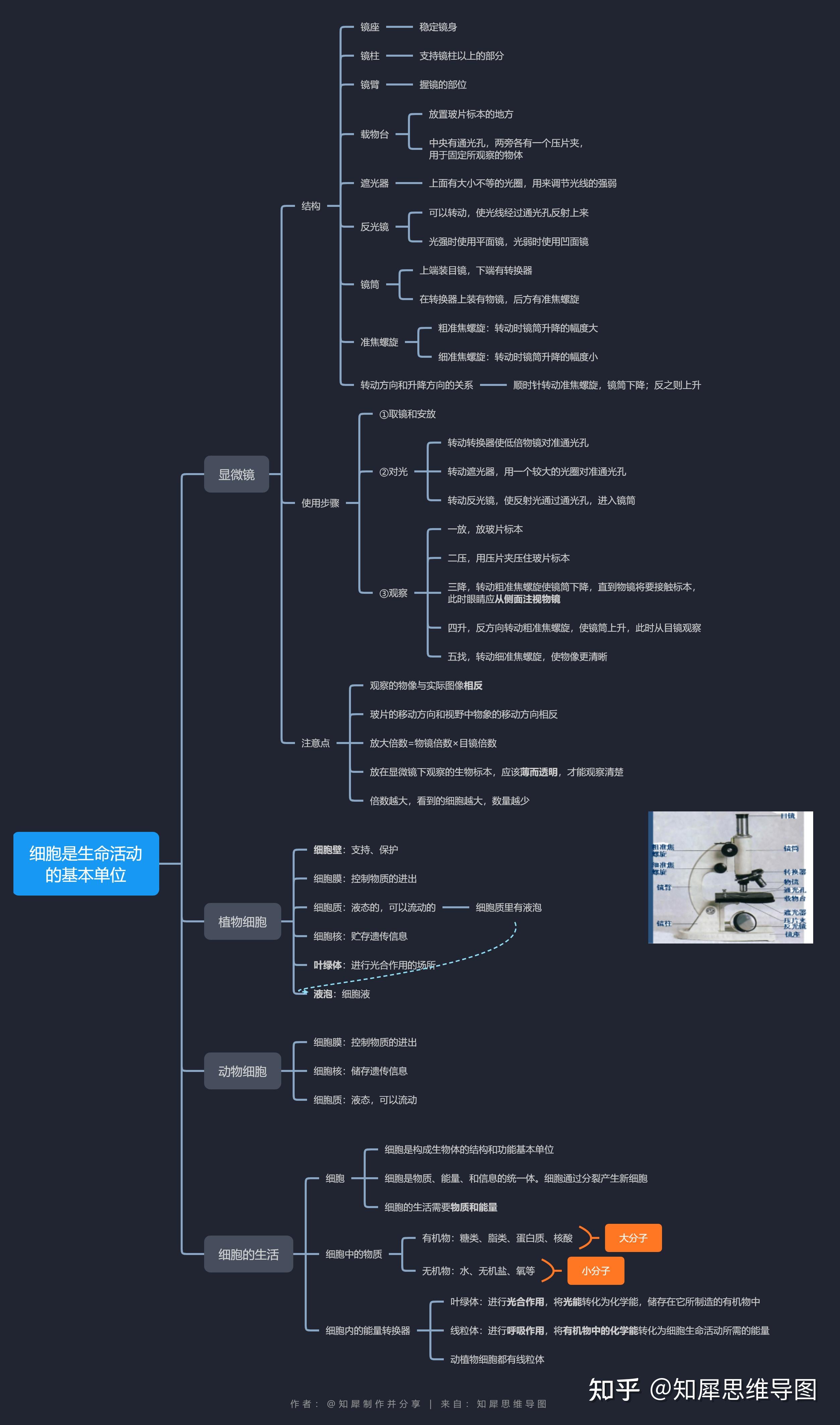 细胞是生命活动的基本单位第一单元首先要了解生物和生物圈的基本概念