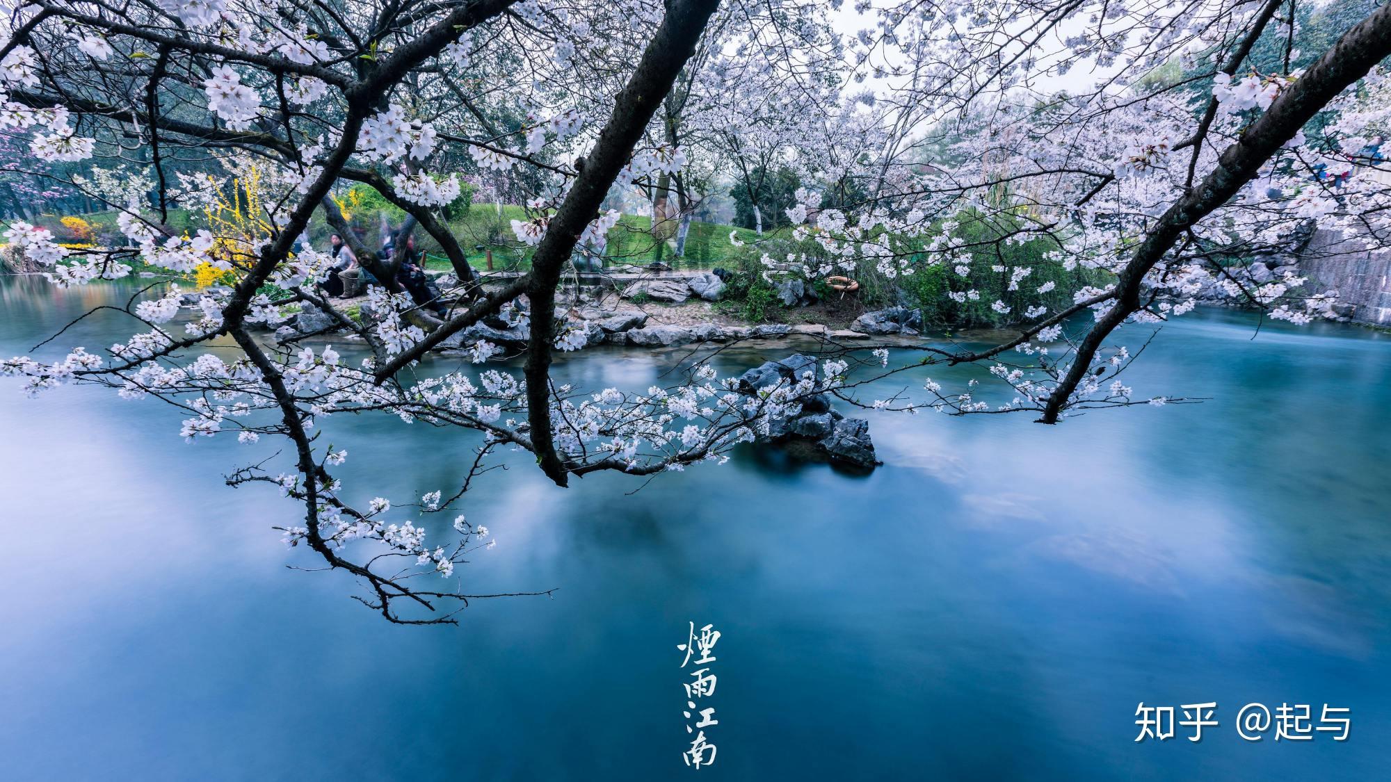 "天青色"为什么要"等烟雨",周董青花瓷到底有多细节? - 知乎