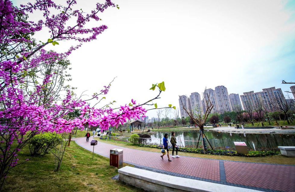 金沙濱河公園東臨同怡路,南臨金澤路,西臨三環路,北臨摸底河,總建築