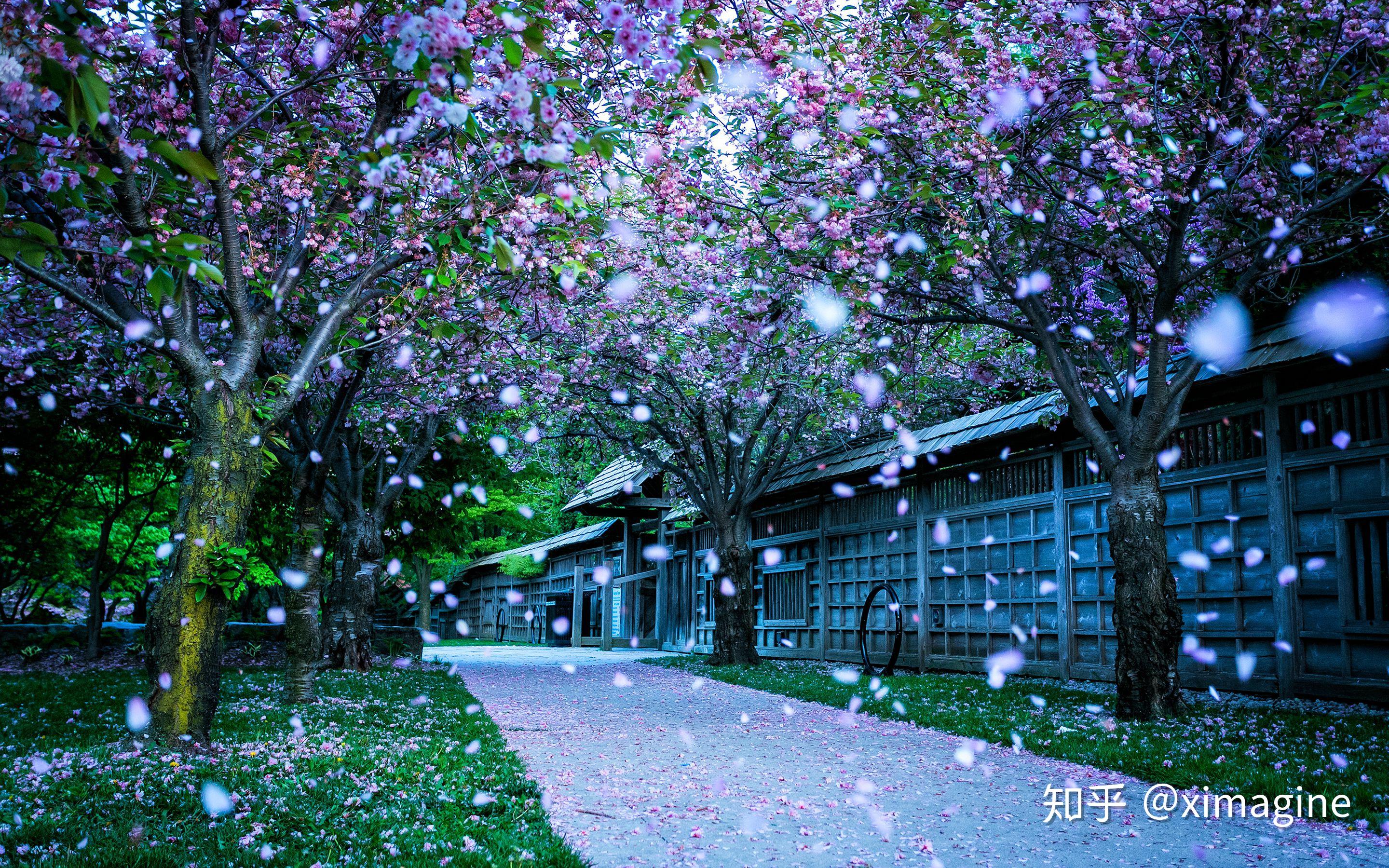 手机超清壁纸 手机风景摄影 - 知乎