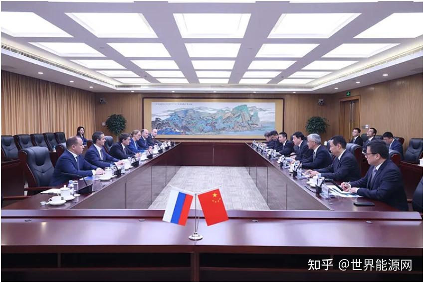 国家电网董事长张智刚与俄罗斯电网公司总裁柳明会谈