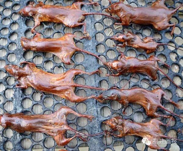 生鱼片老鼠干宁化这个地方食物凶猛