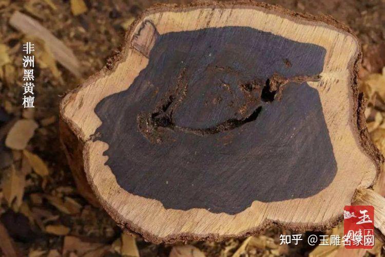 乌木多少钱一斤乌木的价格介绍