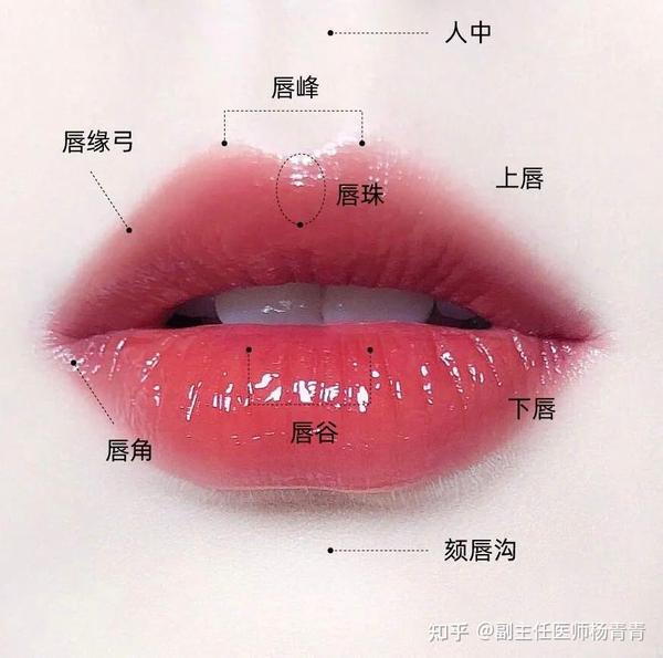 唇周美学 | 助力双唇年轻态,挑战唇欲系美人的极限! - 知乎