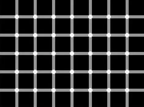 的错觉图片能够清晰地展现出视觉和感知间的差距,例如赫尔曼栅格错觉