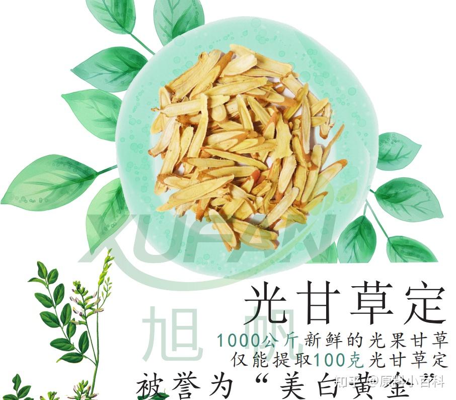 光甘草定 知乎