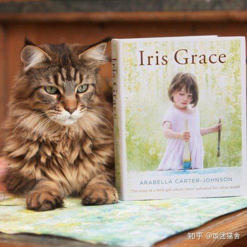 关于：猫咪知道疗愈人类心灵的秘密（动物疗法） - 知乎