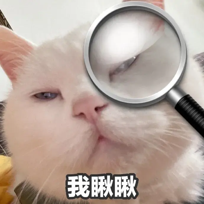 122张可爱的猫猫表情包