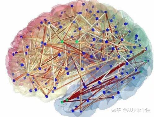 我們的大腦神經元數量可以達到千億數量級,分佈在大腦的左右半球,同時