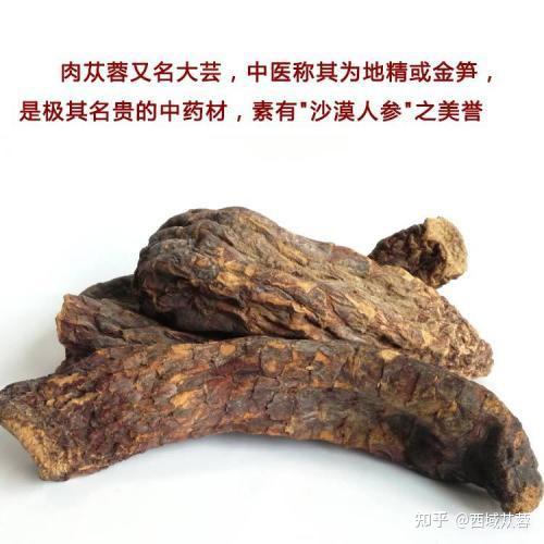 肉蓯蓉效果好但是3個副作用要知曉食用肉蓯蓉的注意事項