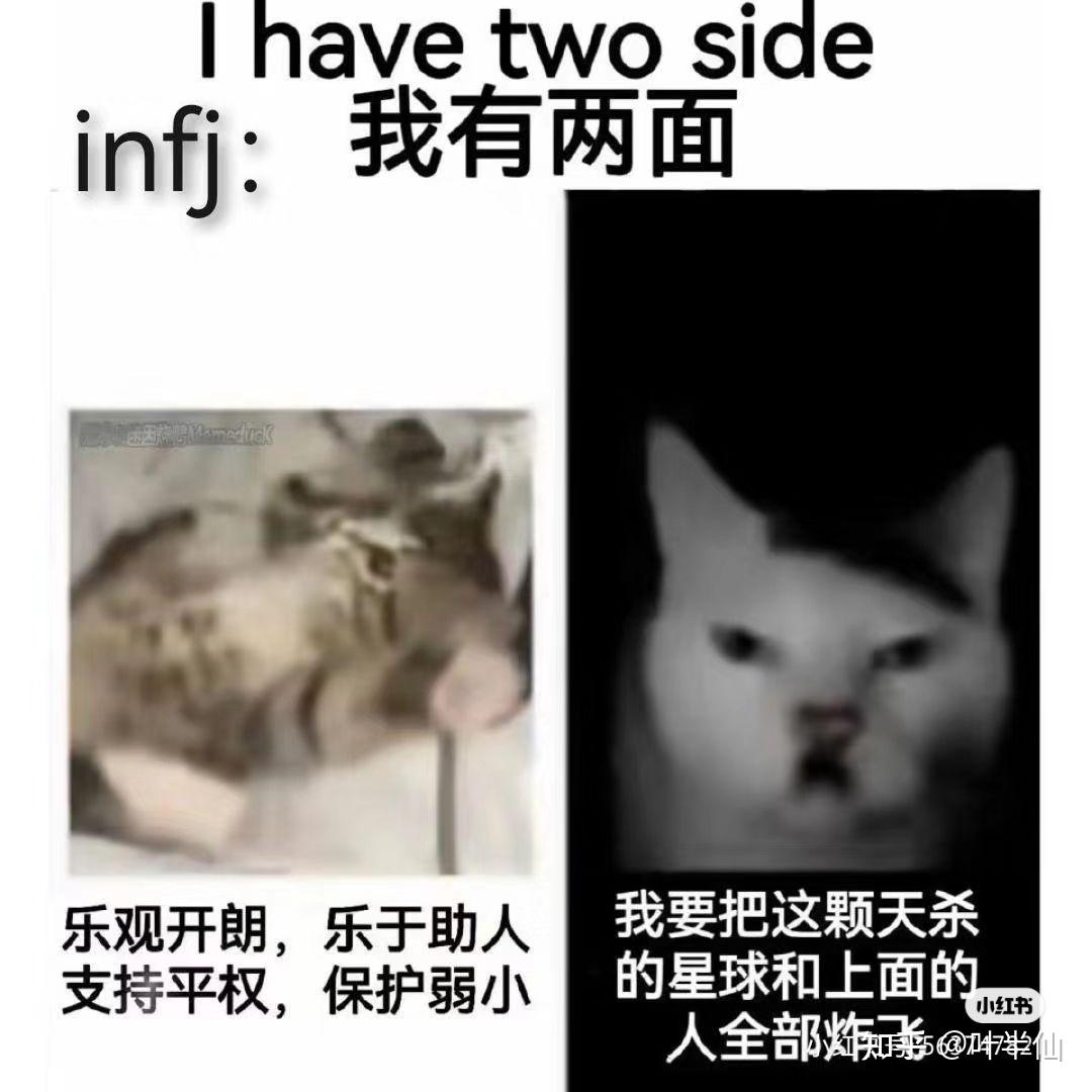 INFJ梗图一览 - 知乎