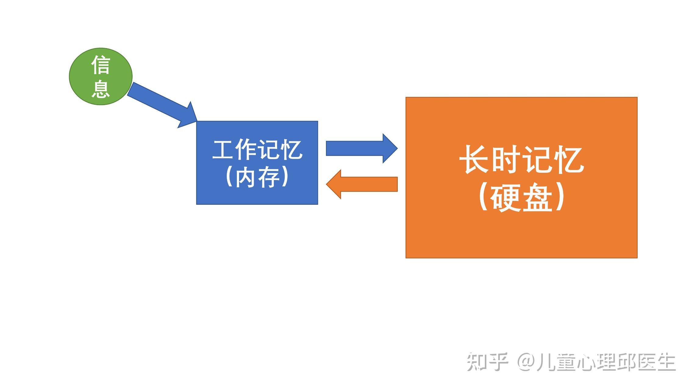 用工作记忆理论指导多动症孩子学习