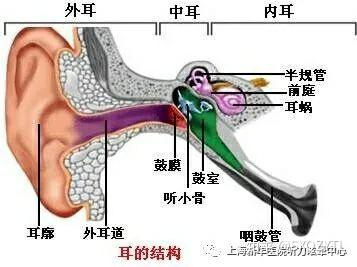 我们是如何听到这个世界的声音 - 知乎