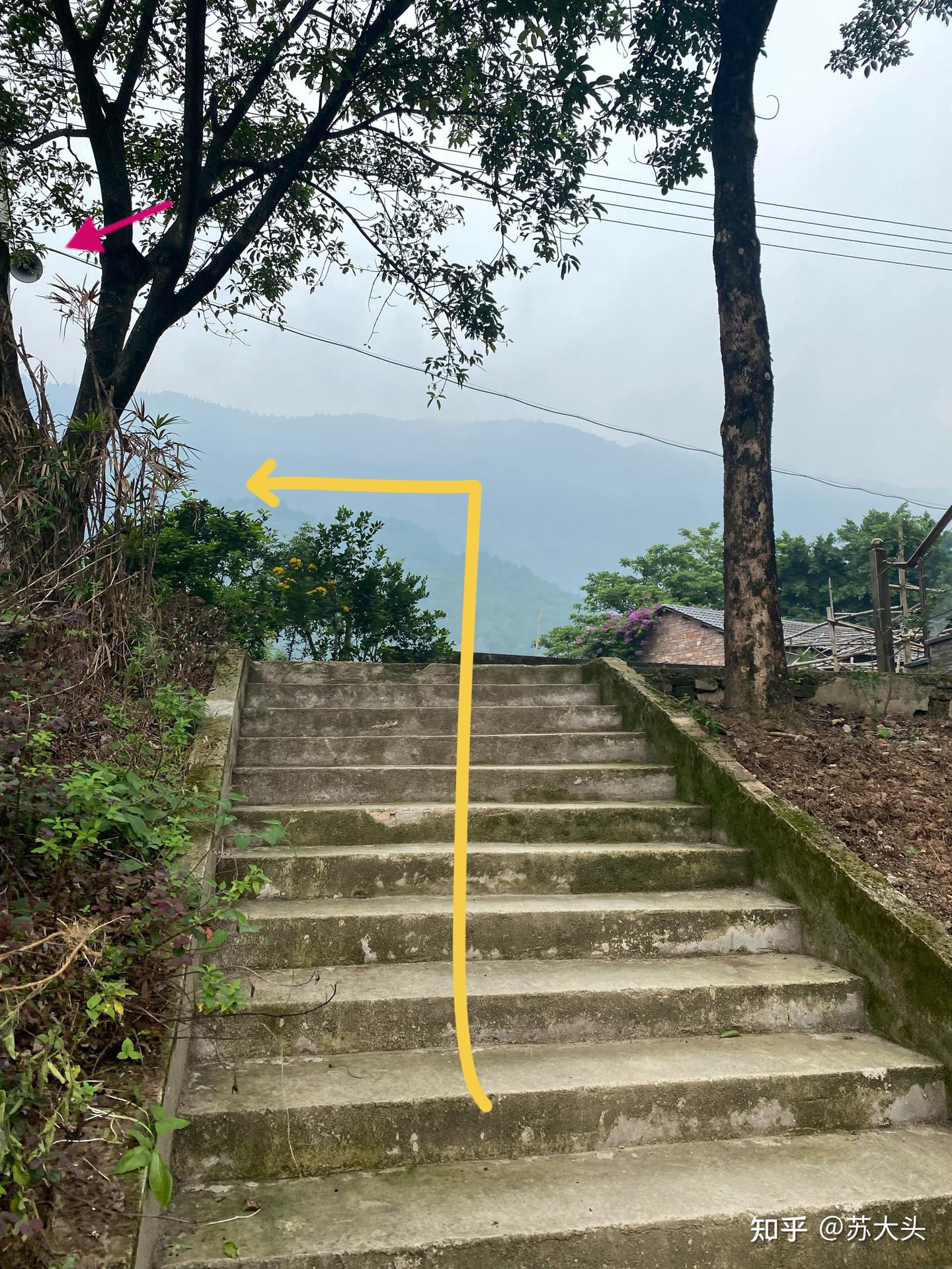 重庆徒步爬山圣地：缙云山免门票上山详细路线指引 - 知乎