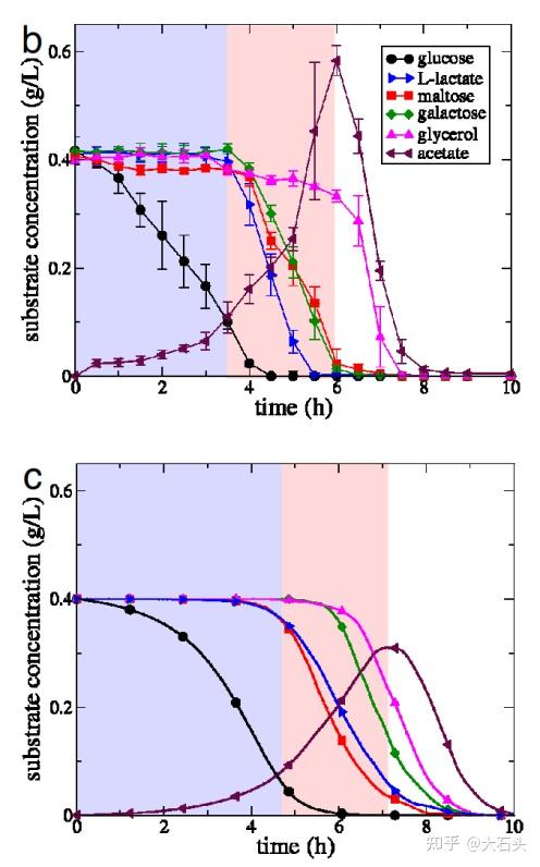 酶约束代谢网络模型ecGEM - 知乎