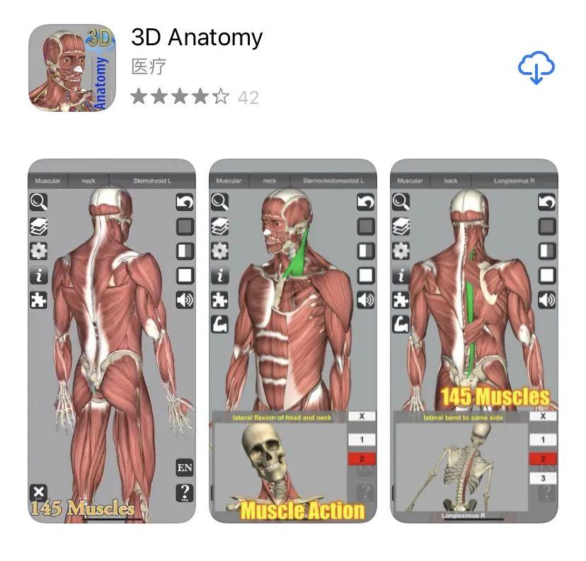又一款解剖软件限免-3D Anatomy - 知乎