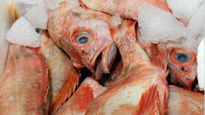 雪卡毒素——让你冷热颠倒的生物毒素