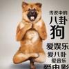 趣事大全爆料网站免费_趣事百科炸了