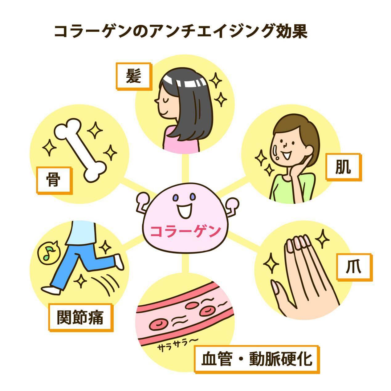 补充胶原蛋白是智商税吗