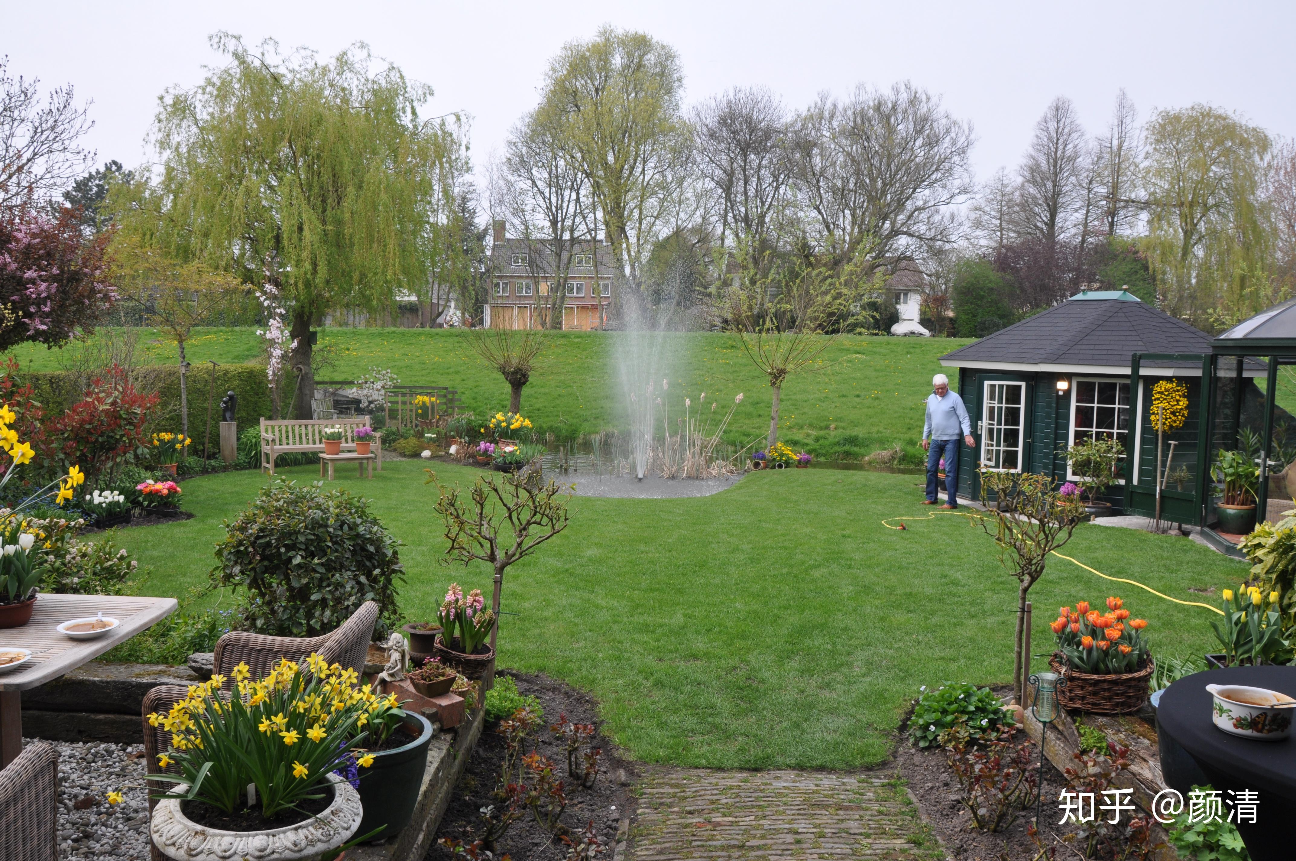 荷兰普通人家的球根小花园