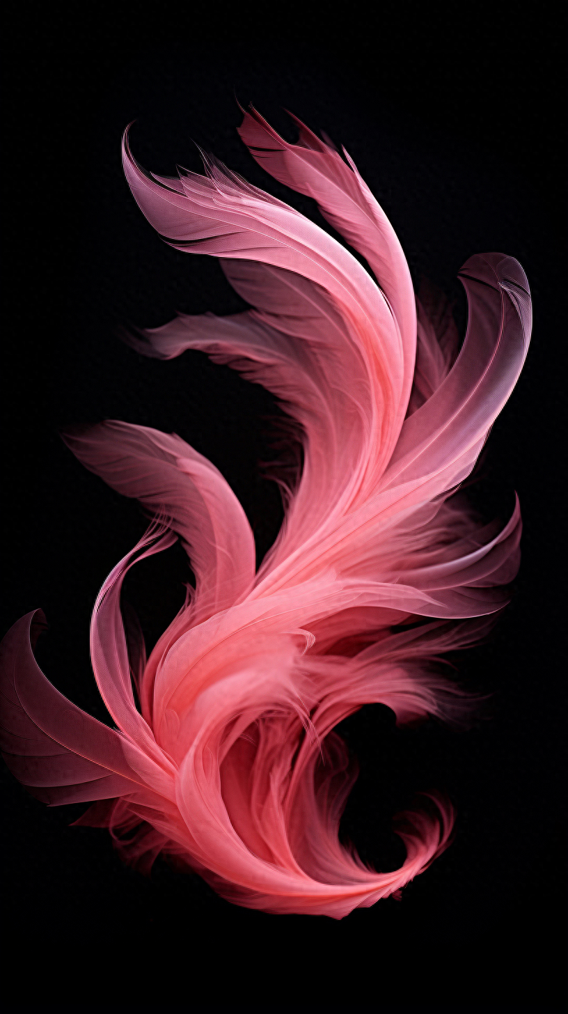 羽毛壁纸,每个人心里,都有旁人无法感受的难处