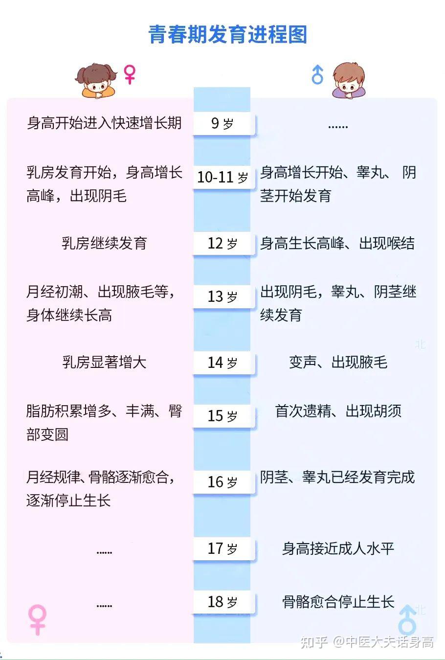 11岁女儿童发育标准图片