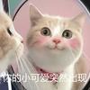 图标