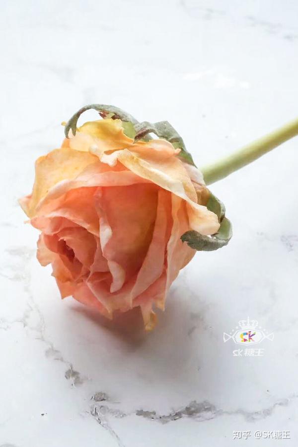 Sk糖王 糖纸花作品 玫瑰 知乎