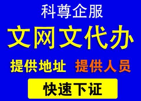 文網文增值電信業務許可證辦理是由哪個部門審批