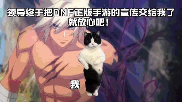 猫meme“入侵”游戏买量素材,还可以这么玩? - 知乎