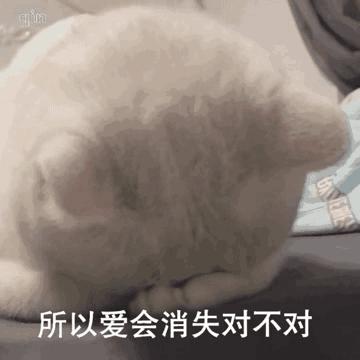 动图封面