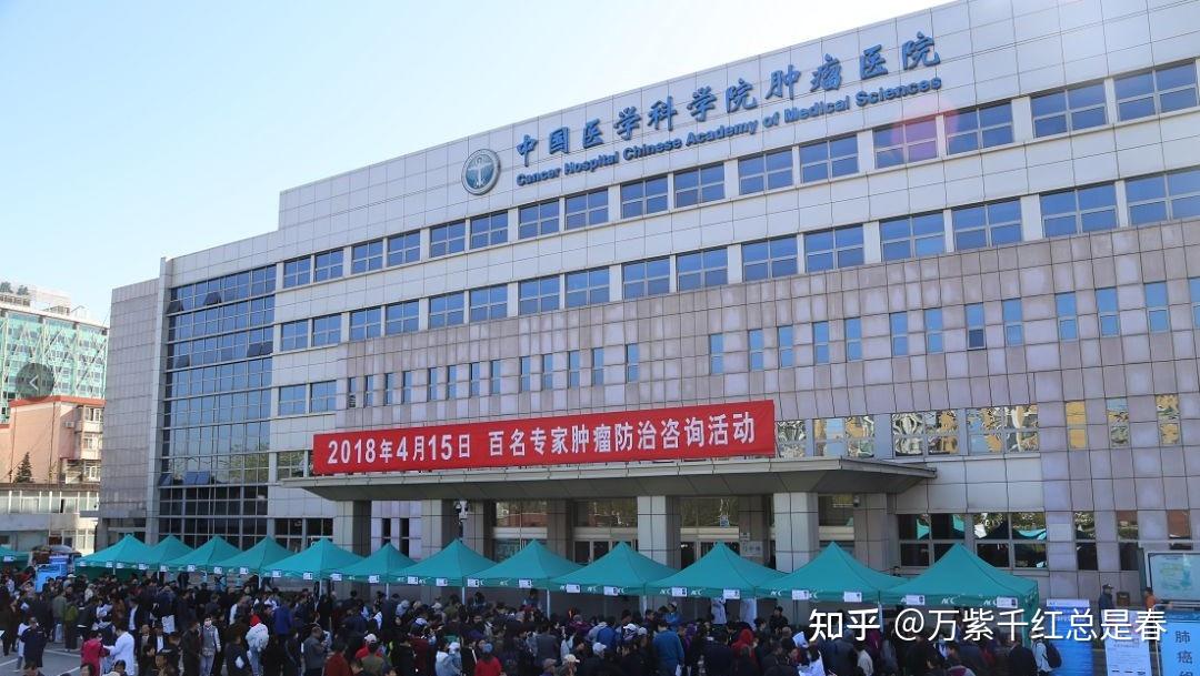 关于北京肿瘤医院科室排名跑腿代挂联系的信息