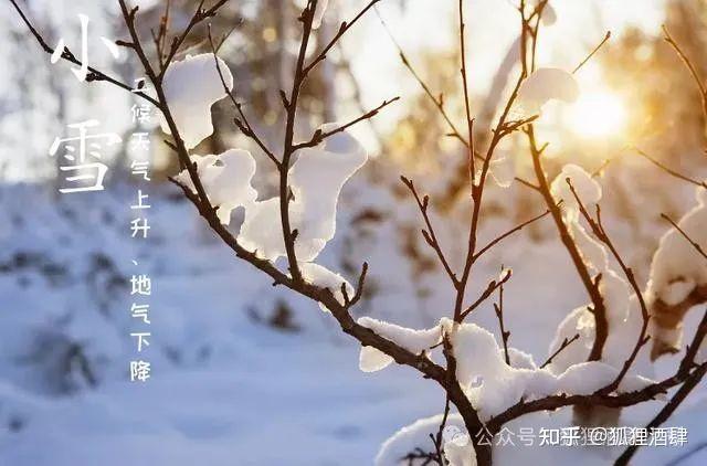 小编总结