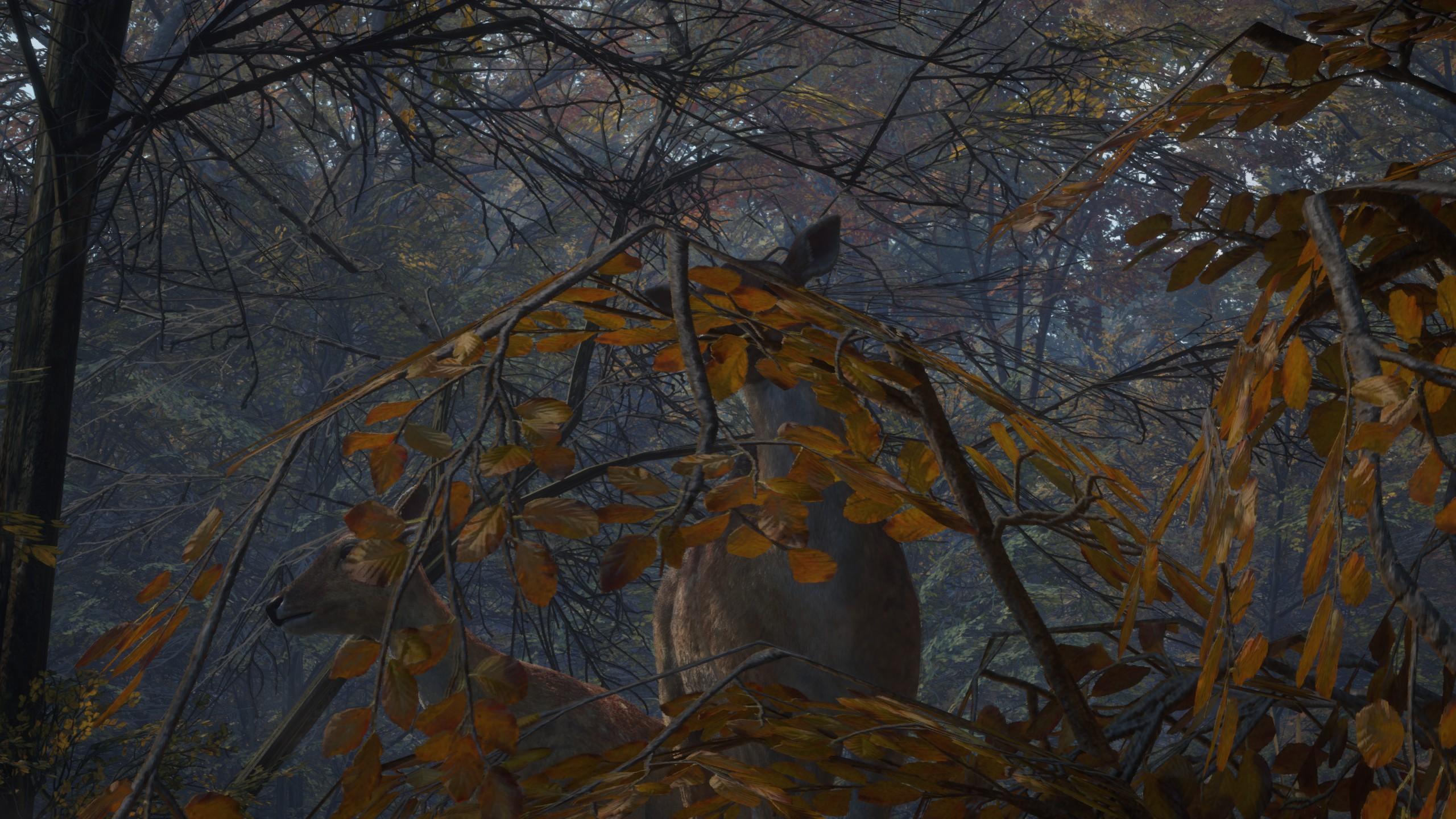 有哪些适合休闲玩家「养老」的网络游戏?