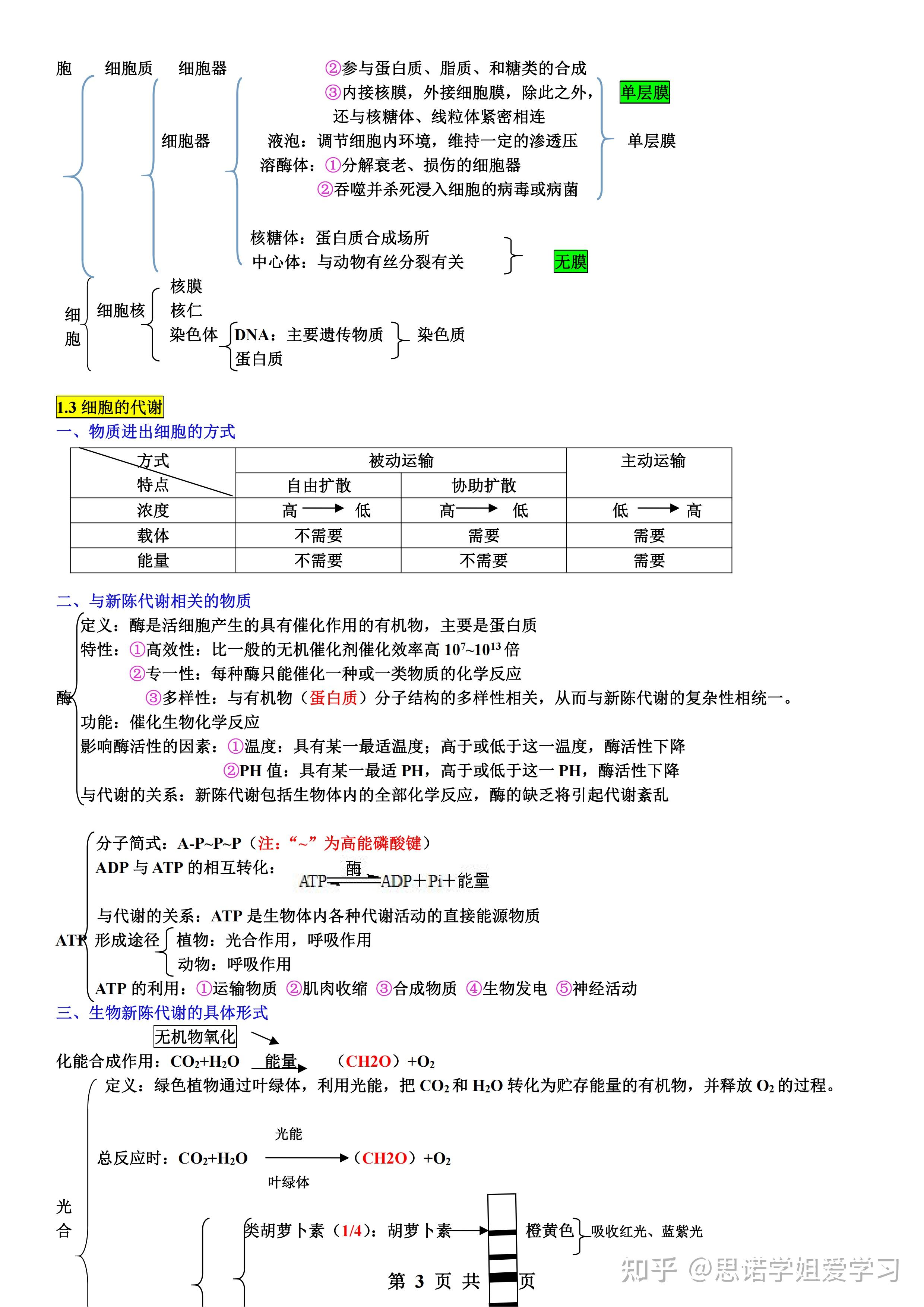 高中生物最污知识点图片