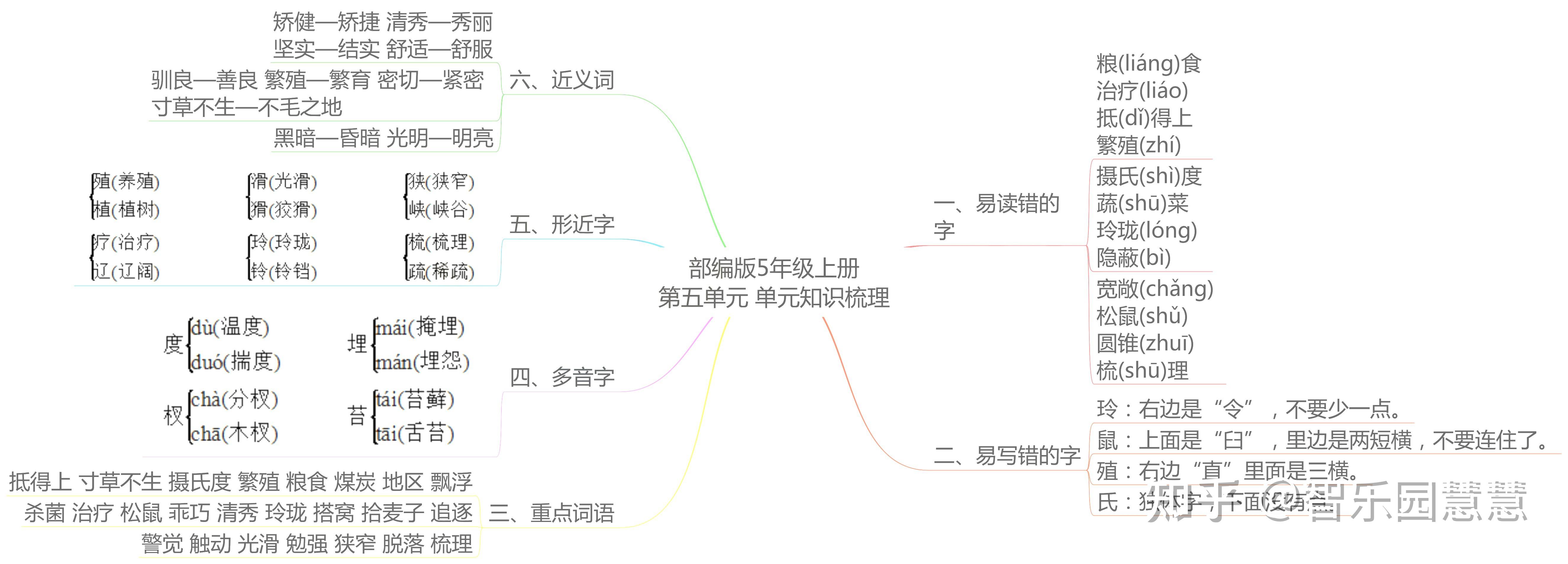 部编版五年级语文上册单元知识思维导图