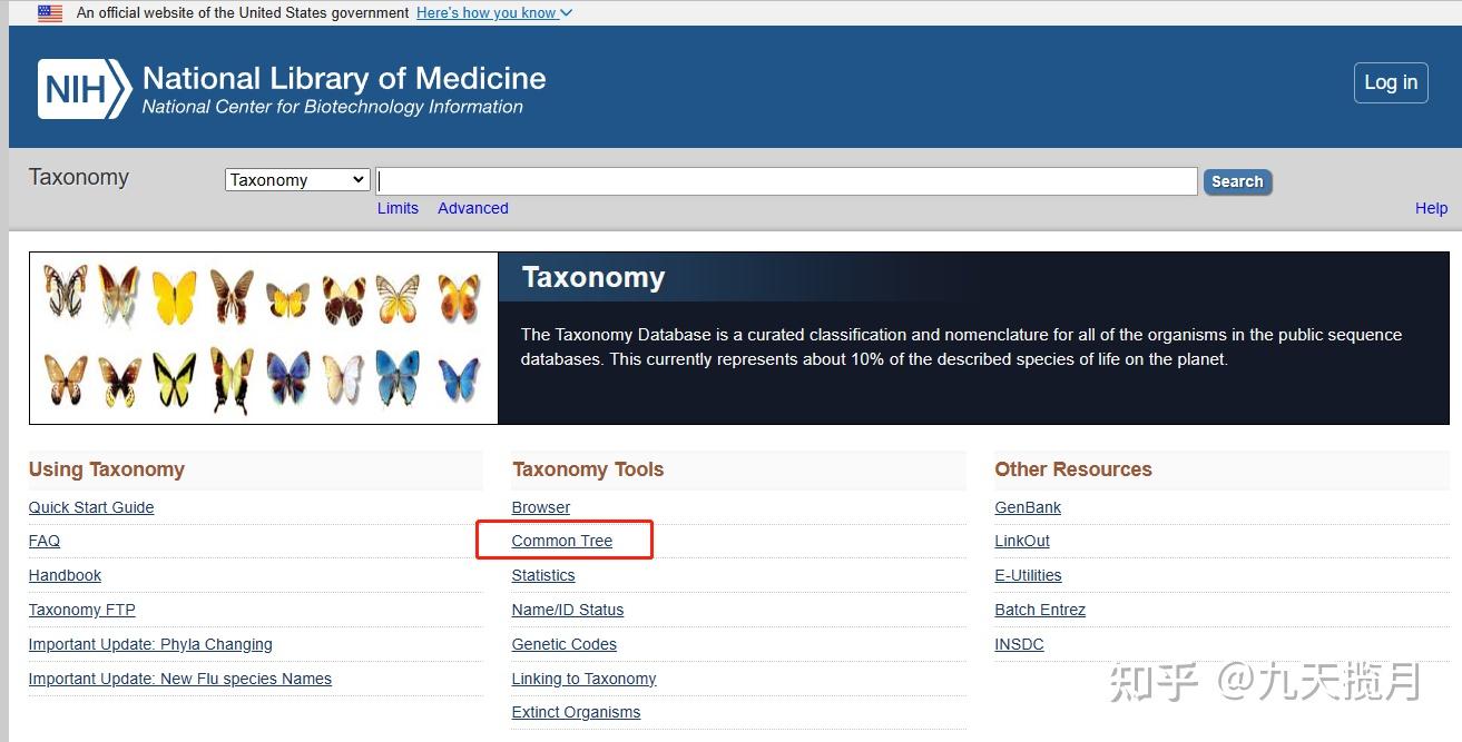 物种之间进化树构建 - 知乎