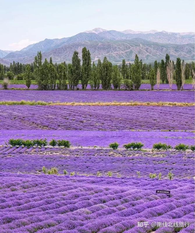新疆南北疆景点对比_新疆南北疆旅游路线推荐_新疆塔城老干部局