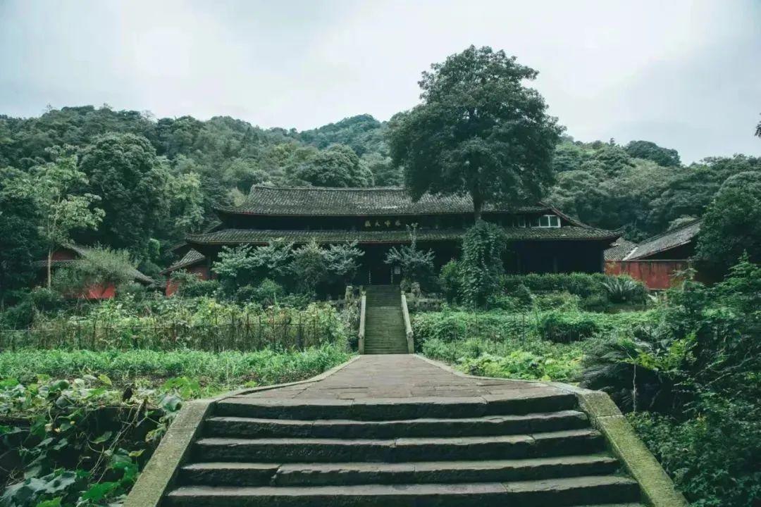 名寺古刹 | 峨眉山最神秘最文艺的寺庙——中峰寺 - 知乎